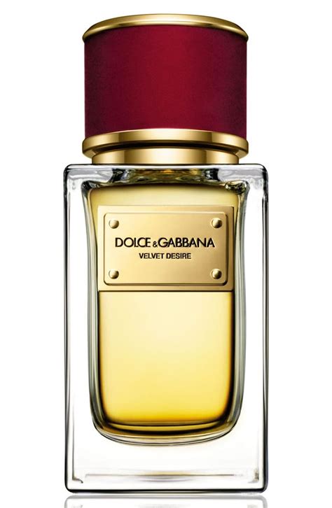 dolce gabbana nordstrom